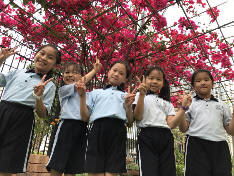 同學們在盛開勒杜鵑花下拍照留念