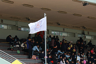 楚思築夢迎40周年校運會