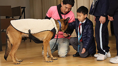 愛領養動物講座